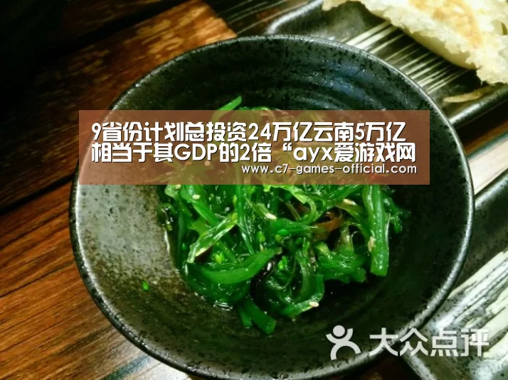 9省份计划总投资24万亿云南5万亿相当于其GDP的2倍“ayx爱游戏网页版”(图2) ayx爱游戏游戏平台
