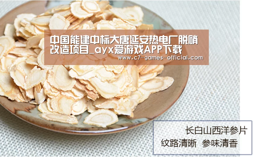 中国能建中标大唐延安热电厂脱硝改造项目_ayx爱游戏APP下载(图1) ayx爱游戏游戏平台