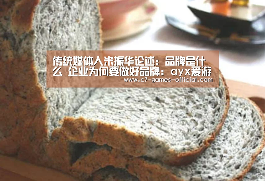 传统媒体人米振华论述:品牌是什么 企业为何要做好品牌:ayx爱游戏网页版(图2) ayx爱游戏官网