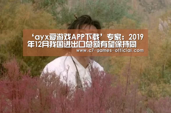 ‘ayx爱游戏APP下载’专家:2019年12月我国进出口总额有望保持同比增长(图3) ayx爱游戏游戏平台