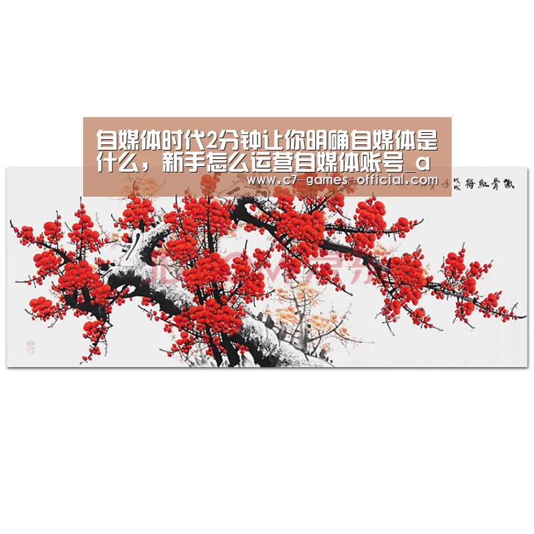自媒体时代2分钟让你明确自媒体是什么,新手怎么运营自媒体账号_ayx爱游戏官网(图2) ayx爱游戏网页版