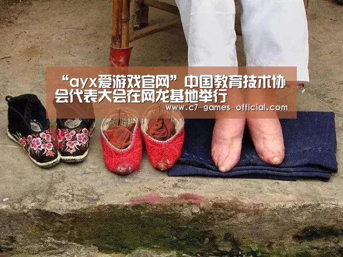 ayx爱游戏官网