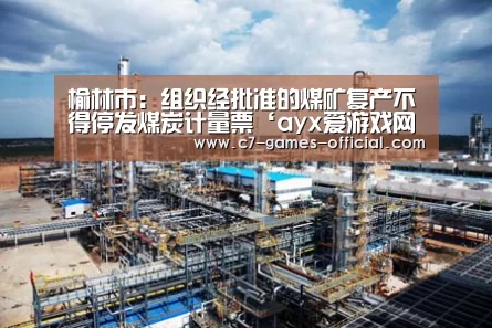 榆林市:组织经批准的煤矿复产不得停发煤炭计量票‘ayx爱游戏网页版’(图1) ayx爱游戏官网
