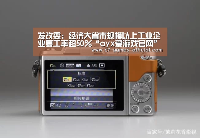 发改委:经济大省市规模以上工业企业复工率超50%“ayx爱游戏官网”(图3) ayx爱游戏游戏平台
