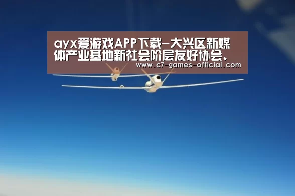 ayx爱游戏官网