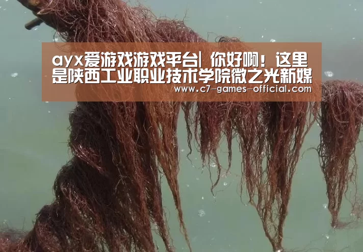 ayx爱游戏游戏平台|
你好啊!这里是陕西工业职业技术学院微之光新媒体生长中心(图7) ayx爱游戏APP下载
