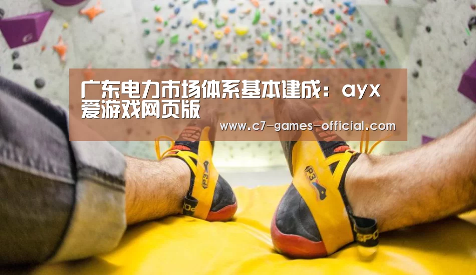 广东电力市场体系基本建成:ayx爱游戏网页版(图3) ayx爱游戏APP下载