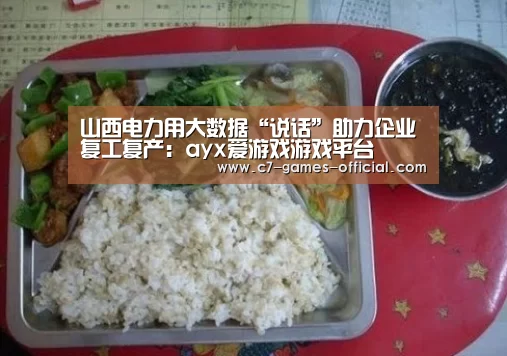 山西电力用大数据“说话”助力企业复工复产:ayx爱游戏游戏平台(图2) ayx爱游戏APP下载