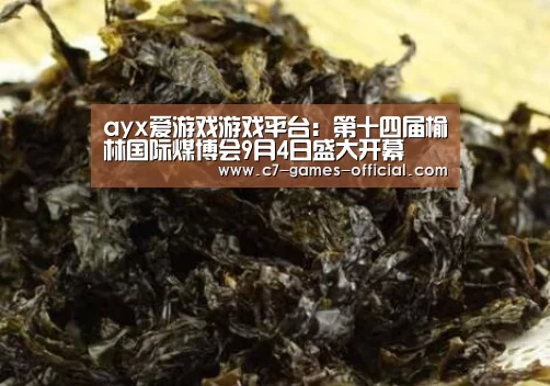 ayx爱游戏游戏平台:第十四届榆林国际煤博会9月4日盛大开幕(图1) ayx爱游戏游戏平台